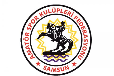 Samsun Demirspor 2019 